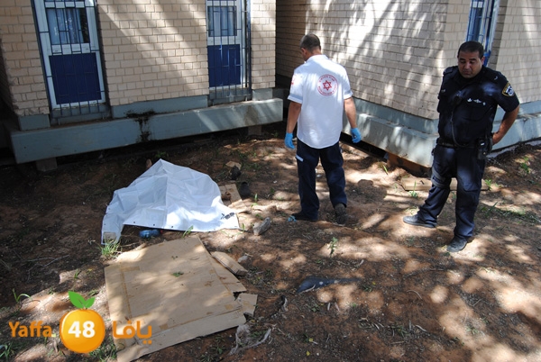 jotha dead yaffa 701 (13).JPG